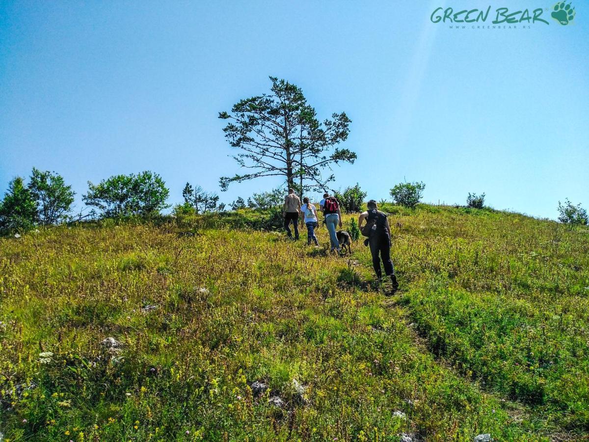 Apartmani Zeleni Meda Mitrovac Esterno foto