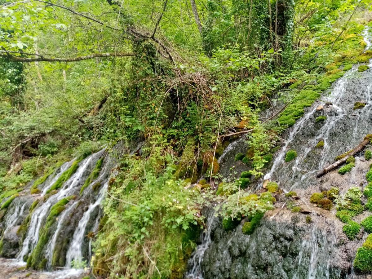 Apartmani Zeleni Meda Mitrovac Esterno foto