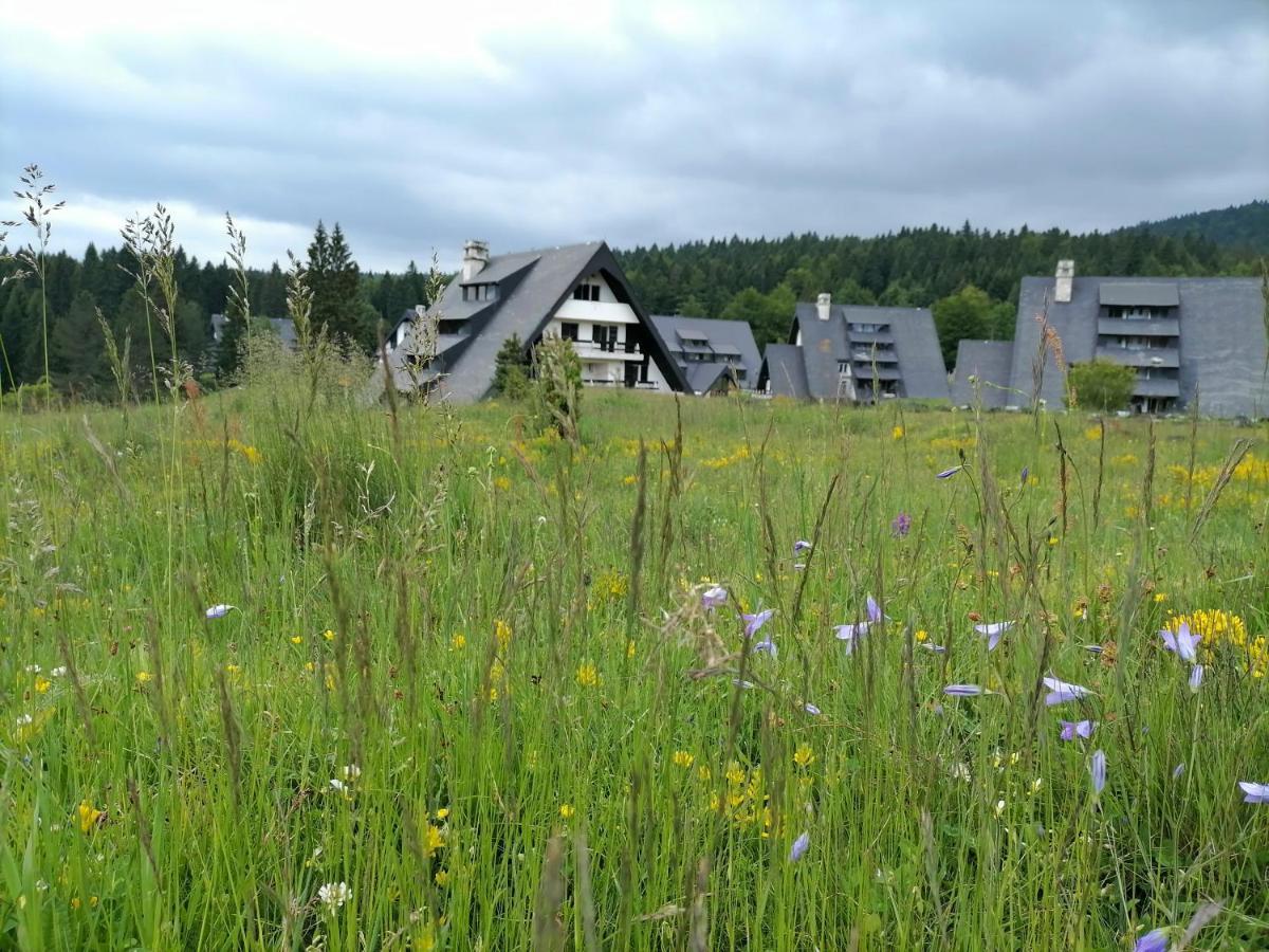 Apartmani Zeleni Meda Mitrovac Esterno foto