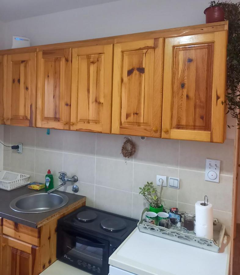 Apartmani Zeleni Meda Mitrovac Esterno foto