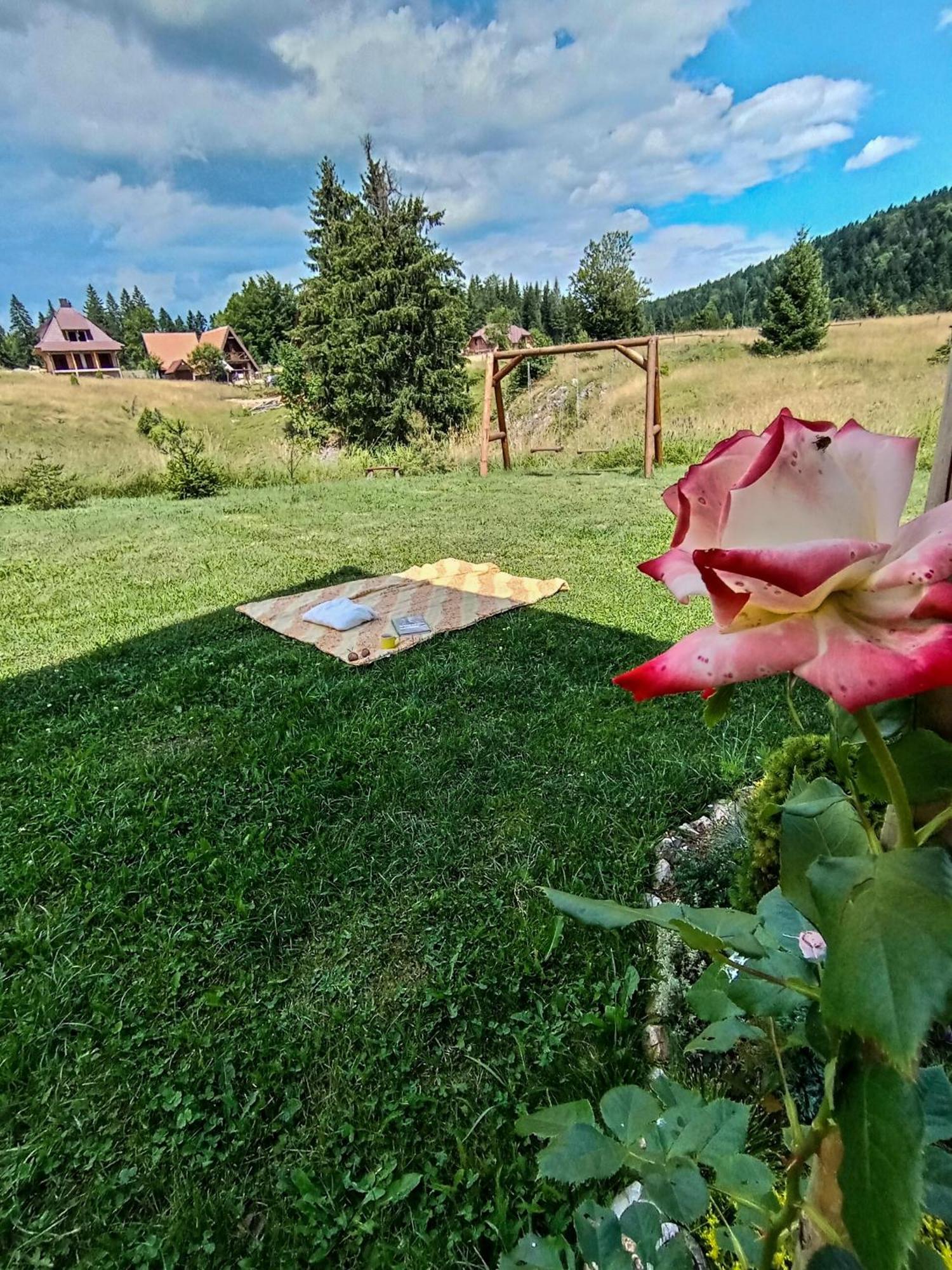 Apartmani Zeleni Meda Mitrovac Esterno foto