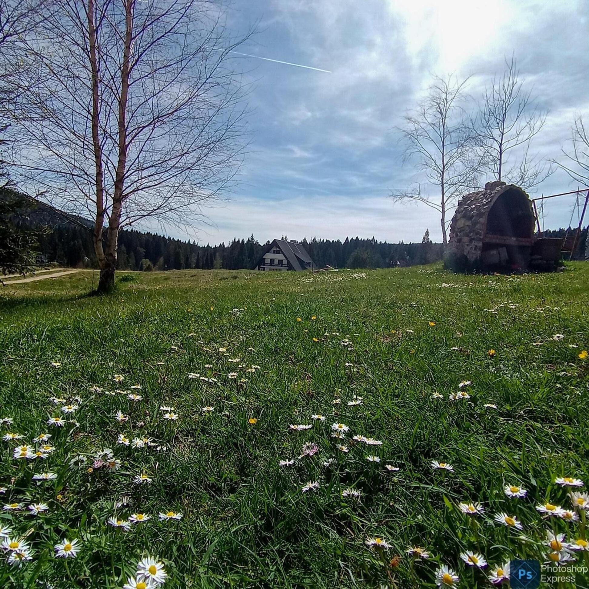 Apartmani Zeleni Meda Mitrovac Esterno foto