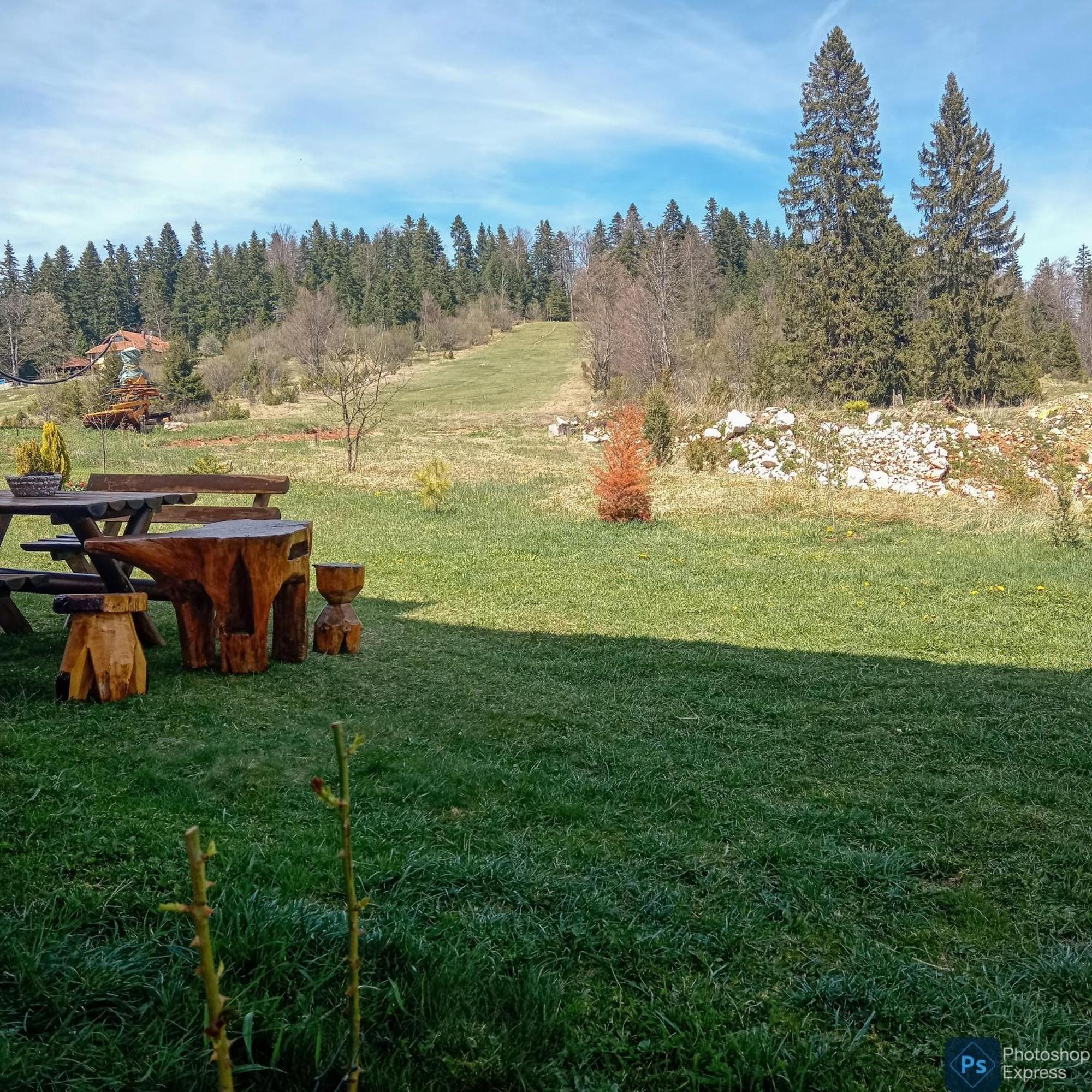 Apartmani Zeleni Meda Mitrovac Esterno foto